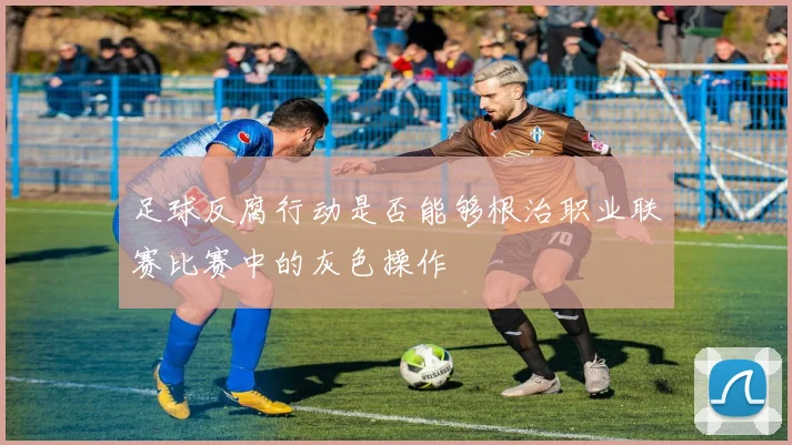 足球反腐行动是否能够根治职业联赛比赛中的灰色操作