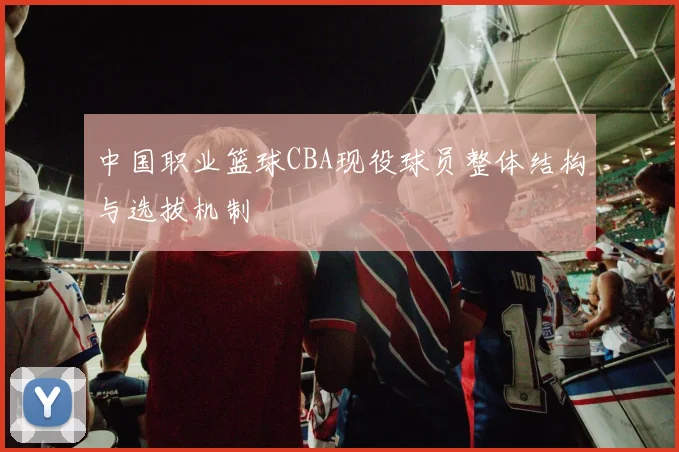 中国职业篮球CBA现役球员整体结构与选拔机制