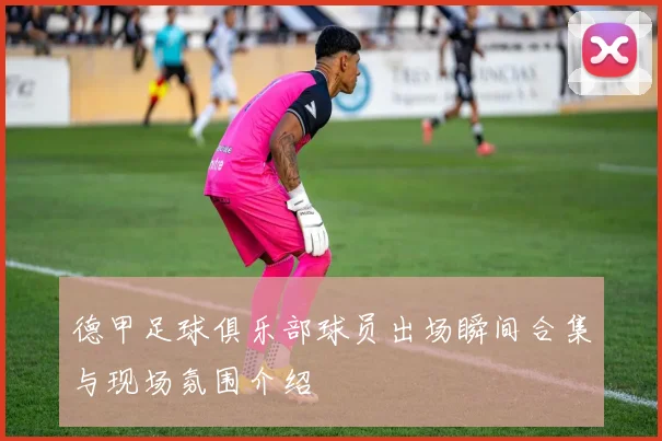 德甲足球俱乐部球员出场瞬间合集与现场氛围介绍