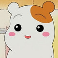 莫旎霓
